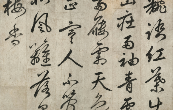 neden_cince_ogrenmeliyiz